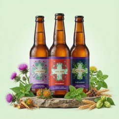 VITAL BEER - Discovery Pack