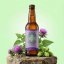 VITAL BEER - Liver Balance