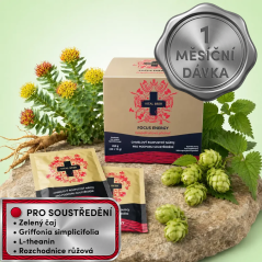 VITAL BEER - Měsíční dávka Focus Energy, rozpustný nápoj, 30 sáčků × 15 g