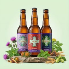 VITAL BEER - Discovery Pack